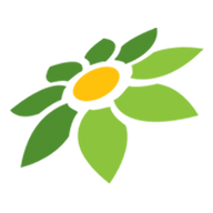 GIF SKIN ML